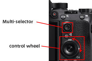 Multi-selector and control wheel