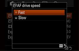 AF drive speed Fast