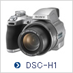 DSC-H1