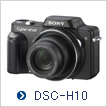 DSC-H10