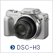 DSC-H3