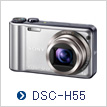 DSC-H55