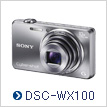 DSC-WX100