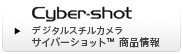 �f�W�^���X�`���J�����g�T�C�o�[�V���b�g�h���i���