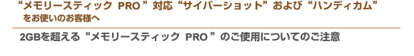 �g�������[�X�e�B�b�NPRO�h�Ή��g�T�C�o�[�V���b�g�h����сg�n���f�B�J���h�����g���̂��q�l�ցF2GB�𒴂���g�������[�X�e�B�b�NPRO�h�̂��g�p�ɂ��Ă̂�����
