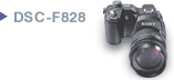 DSC-F828