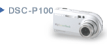 DSC-P100