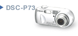 DSC-P73