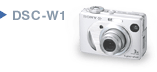 DSC-W1