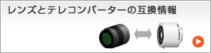 �����Y�ƃe���R���o�[�^�[�̌݊����
