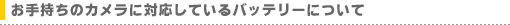 ���莝���̃J�����ɑΉ����Ă���o�b�e���[�ɂ���
