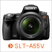 SLT-A55V