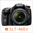 SLT-A65V