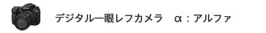 �f�W�^����჌�t�J���� ���F�A���t�@
