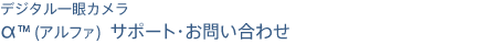 �f�W�^�����J�����g���h�i�A���t�@�j �T�|�[�g�E���₢���킹