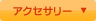 �A�N�Z�T���[
