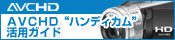 AVCHD"�������[�X�e�B�b�N"���p�K�C�h