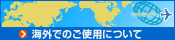 �C�O�ł̂��g�p�ɍۂ���