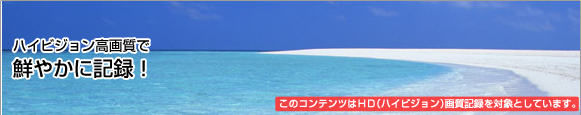 �n�C�r�W�������掿�őN�₩�ɋL�^�I