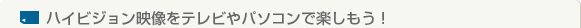 �n�C�r�W�����f�����e���r��p�\�R���Ŋy�������I