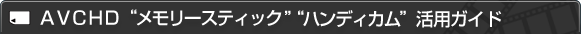 AVCHD "�������[�X�e�B�b�N" "�n���f�B�J��" ���p�K�C�h