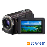 HDR-CX590V