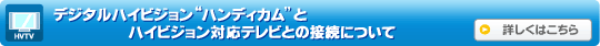�f�W�^���n�C�r�W�����h�n���f�B�J���h�ƃn�C�r�W�����Ή��e���r�Ƃ̐ڑ��ɂ��� �ڂ����͂�����