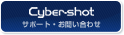 �T�C�o�[�V���b�g �T�|�[�g�E���₢���킹
