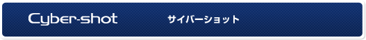�T�C�o�[�V���b�g