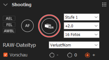 Bedienfeld für Aufnahme. Die Schaltfläche für den Auslöser wird hervorgehoben.