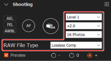 Shooting panel. The options for dynamic range expansion, exposure compensation, number of shots, and RAW file type are highlighted.
