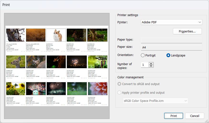 Printing an image index