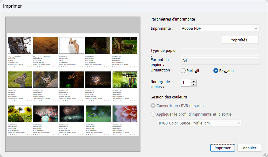 Impression d’une planche index