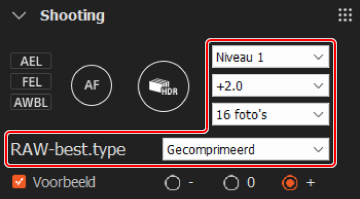 Paneel Opnemen. De opties voor de uitbreiding van het dynamische bereik, de belichtingscompensatie, het aantal opnamen en het RAW-bestandstype zijn gemarkeerd.