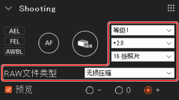 拍摄面板。动态范围扩展、曝光补偿、拍摄张数和RAW文件类型的选项为高亮显示。