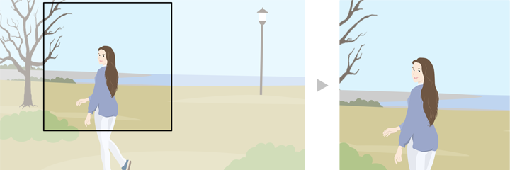 広い範囲から狭い範囲へ自動でフレーミングした画像
