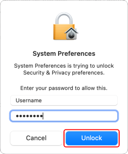 Password input dialog box. The [Unlock] button is highlighted.