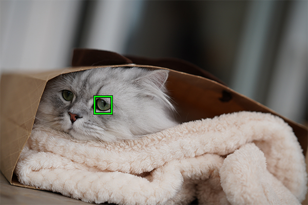 Actualización de firmware de la Sony RX10 IV agrega AF de Ojos de Animales  en tiempo real