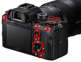 802 Sony a7iii 图片、库存照片、3D 物体和矢量图