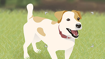 フォーカスエリア内に動物の目がある状態のイラスト