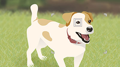 Illustration of appearance of white eye recognition frame