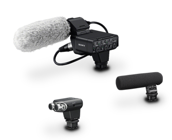 Microphone