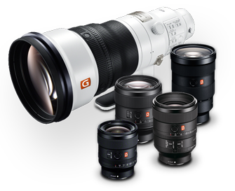 Interchangeable Lens [E-mount]