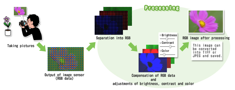 raw photo processor online