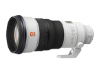 SEL300F28GM